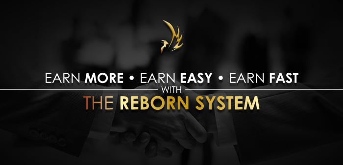 REBORN SYSTEM 